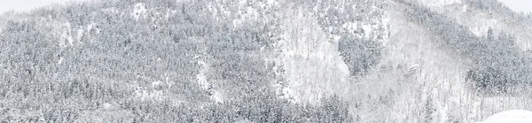 Winterlandschaft Des Kiefernwaldes Bei Shirakawago Chubu Japan — Stockfoto