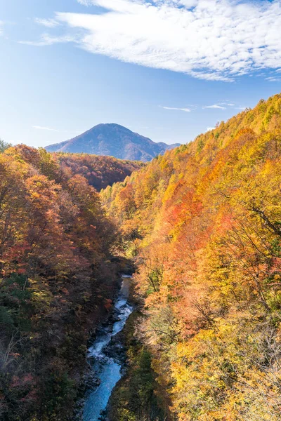 Nakatsugawa Gorge Fukushima Bridge Sonbaharda Sonbahar Japonya — Stok fotoğraf