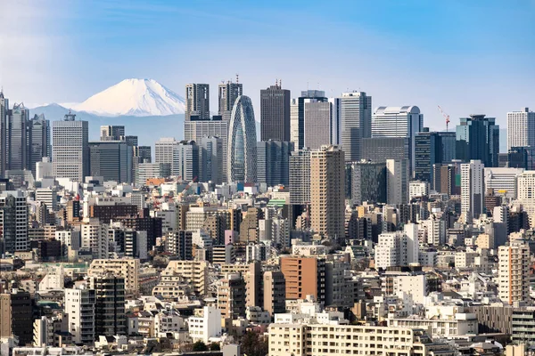 Mountain Fuji Tokyo Skylines Skyscrapers Buildings Shinjuku Ward Tokyo Taken — Stock Photo, Image