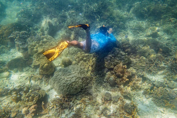 Subacqueo Snorkeling Fare Tuffo Apnea Sulla Barriera Corallina Tropicale Con — Foto Stock