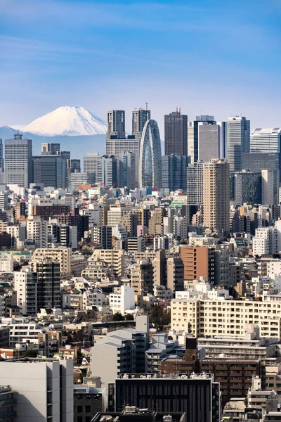 Montaña Fuji Con Edificios Skylines Rascacielos Tokio Sala Shinjuku Tokio — Foto de Stock