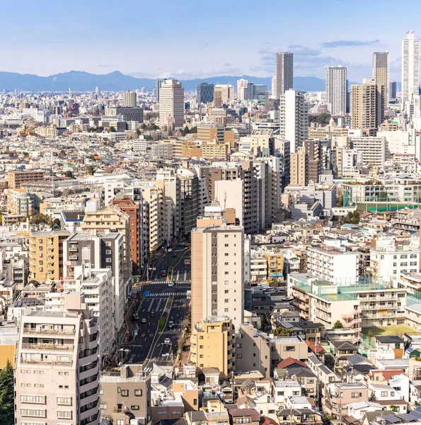 Montanha Fuji Com Skylines Tóquio Arranha Céus Edifícios Shinjuku Ward — Fotografia de Stock