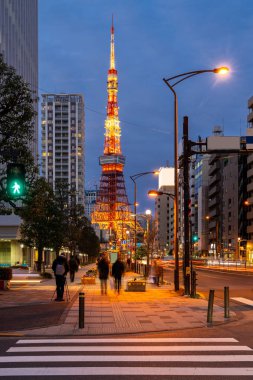 Tokyo Tower Tokyo siluetinin city scape monato koğuş ile alacakaranlıkta. Tokyo Tower ünlü Simgesel Yapı yüksekliği 332.9, Japonya'nın ikinci en yüksek kulenin metredir.