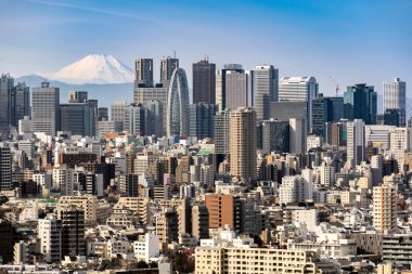 Dağ Fuji Shinjuku koğuş Tokyo Tokyo silueti ve gökdelenler binaları ile. Tokyo Bunkyo Kültür Merkezi Gözlemevi gökyüzü masasından alınan.