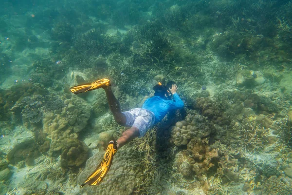 Snorkling Dykare Göra Gratis Dykning Tropiskt Rev Med Blå Bakgrund — Stockfoto