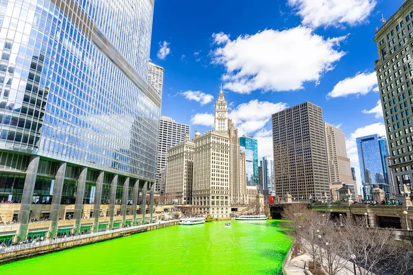 Chicago Skylines building along green dyeing river of Chicago River on St. Patrick\'s day festival in Chicago Downtown IL USA