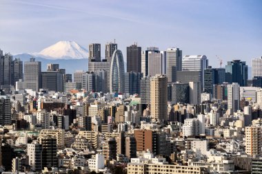 Dağ Fuji Shinjuku koğuş Tokyo Tokyo silueti ve gökdelenler binaları ile. Tokyo Bunkyo Kültür Merkezi Gözlemevi gökyüzü masasından alınan.