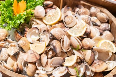 Buz büfesi barda Deniz Ürünleri Clam Kabukları