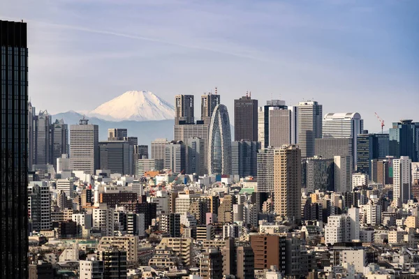 Montaña Fuji Con Edificios Skylines Rascacielos Tokio Sala Shinjuku Tokio — Foto de Stock