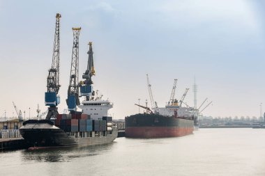 Hollanda Rotterdam Limanı 'nda uluslararası deniz nakliyesi için rıhtımda bekleyen, içinde erzak olan büyük kargo konteynırları.
