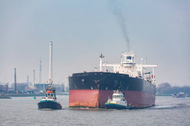 Hollanda Rotterdam Limanı 'nda uluslararası deniz nakliyesi için rıhtımda bekleyen, içinde erzak olan büyük kargo konteynırları.