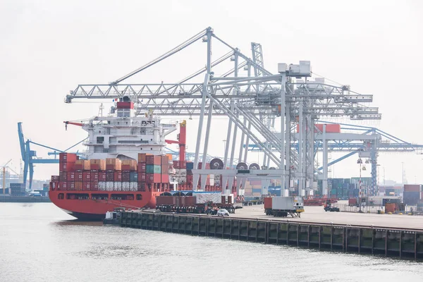 オランダのロッテルダム港で国際海上貨物輸送を待っている桟橋ドックポートに貨物スタックを持つ大きな貨物コンテナ船 — ストック写真