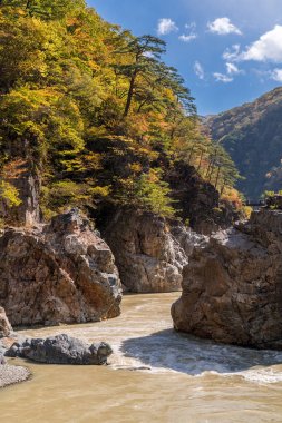 Nikko Tochigi Japonya 'daki Ryuyo Gorge Kanyonu Ulusal Parkı ve dinlenme alanı 