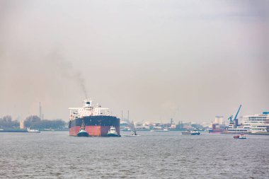Hollanda Rotterdam Limanı 'nda uluslararası deniz nakliyesi için rıhtımda bekleyen, içinde erzak olan büyük kargo konteynırları.