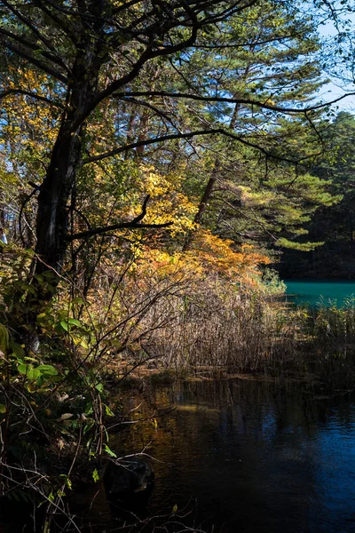 Goshiki Numa Pięć Kolorów Staw Jesieni Urabandai Fukushima Japonia — Zdjęcie stockowe