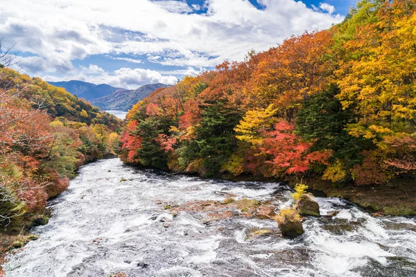 Otoño Bosque Otoño Con Agua Corriente Las Cataratas Ryuzu Con — Foto de Stock