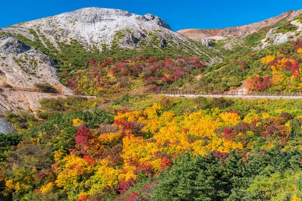 Fukushima Tohoku Japonya Bandai Sonbahar Sonbahar Yeşillik Dağ — Stok fotoğraf