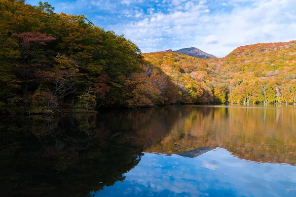 Aomori Tohoku Japonya Yansıması Ile Sonbahar Sonbahar Gölü — Stok fotoğraf