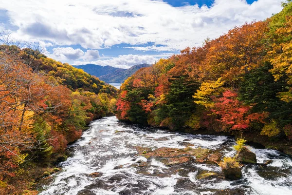 Otoño Bosque Otoño Con Agua Corriente Las Cataratas Ryuzu Con — Foto de Stock