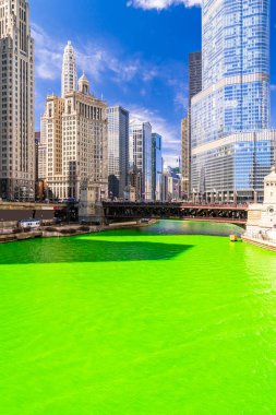Chicago Skylines, Chicago Nehri 'nin yeşil boyalı nehri boyunca Şikago' daki St. Patrick Günü Festivali 'nde inşa ediliyor.