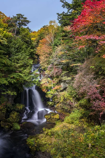 Autunno Foresta Caduta Cascata Ryuzu Nikko Tochigi Giappone — Foto Stock