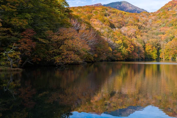 Otoño Lago Otoño Con Reflexión Aomori Tohoku Japón — Foto de Stock