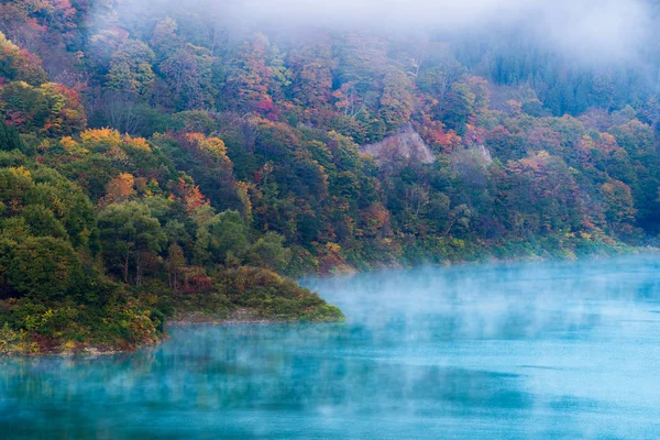 Niebla Matutina Con Otoño Lago Bosque Presa Tamagawa Akita Tohoku — Foto de Stock
