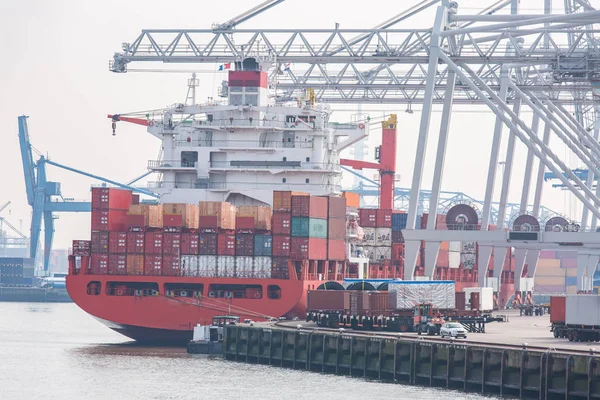 Hollanda Rotterdam Limanı 'nda uluslararası deniz nakliyesi için rıhtımda bekleyen, içinde erzak olan büyük kargo konteynırları.