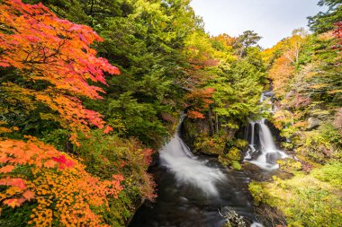 Nikko Tochigi Japonya'da Ryuzu şelale de Sonbahar sonbahar orman