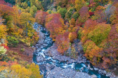 Akita Tohoku Japonya Orman wodland ve nehir yaprak sonbahar sonbahar mevsiminin havadan görünümü