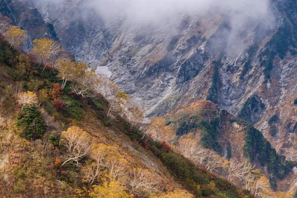 Landschap Van Herfst Herfst Van Hakuba Valley Nagano Chubu Japan — Stockfoto