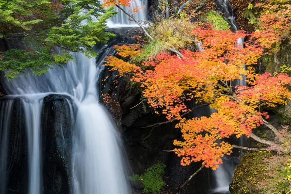 Φθινόπωρο Δάσος Στον Καταρράκτη Ryuzu Στο Νίκο Τοτσίγκι Ιαπωνία — Φωτογραφία Αρχείου
