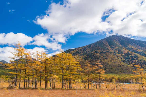 Jesień Upadek Krajobraz Senjogahara Plateau Pole Las Góra Nikko Tochigi — Zdjęcie stockowe