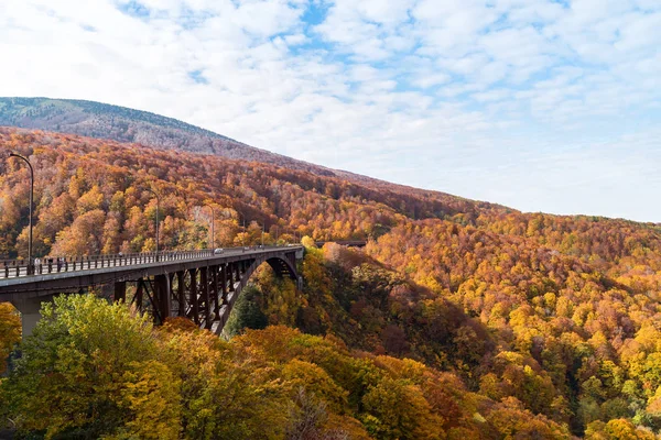 Aomori Tohoku Japonya Jogakura Ohashi Köprüsü Ile Orman Ormanların Sonbahar — Stok fotoğraf