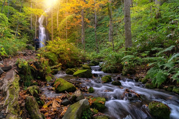 Outono Outono Outono Outono Paisagem Floresta Cachoeira Aomori Tohoku Japão — Fotografia de Stock