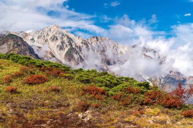 Nagano Chubu Japonya Hakuba Vadisi Sonbahar Sonbahar Manzara