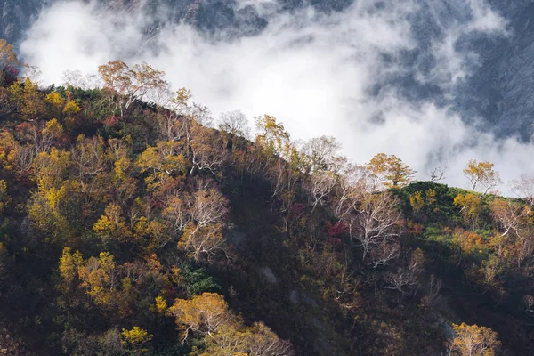 日本长野楚布的白马谷秋秋景观 — 图库照片