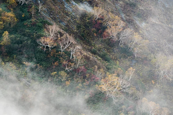 Landschap Van Herfst Herfst Van Hakuba Valley Nagano Chubu Japan — Stockfoto