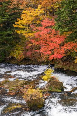 Arka planda Chezenji gölü ile Ryuzu Şelalesi akarsu suyu ile Sonbahar sonbahar orman, Nikko Tochigi Japonya
