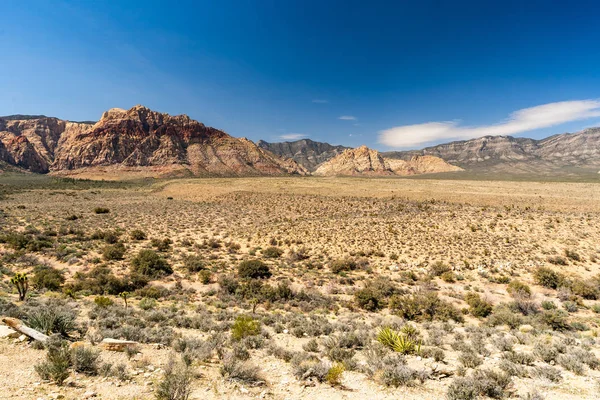 Red Rock Canyon National Connection Area Las Vegas Nevada Usa — стоковое фото