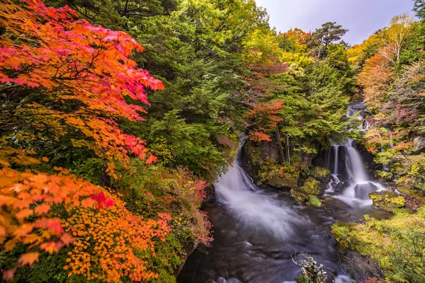 Outono Floresta Queda Ryuzu Cachoeira Nikko Tochigi Japão — Fotografia de Stock