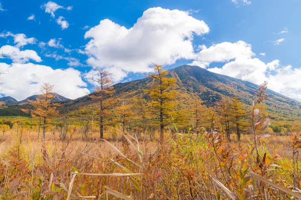 Jesień Upadek Krajobraz Senjogahara Plateau Pole Las Góra Nikko Tochigi — Zdjęcie stockowe