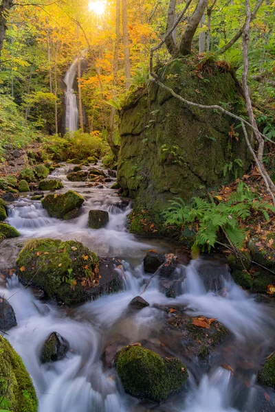 Outono Outono Outono Outono Paisagem Floresta Cachoeira Aomori Tohoku Japão — Fotografia de Stock