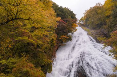 Nikko Tochigi Japonya'da Yudaki Şelalesi'nde sonbahar sonbahar ormanı