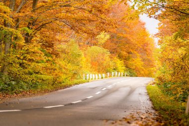 Aomori Tohoku Japonya'da Sonbahar Sonbahar ormanlık orman ile Kırsal Yol