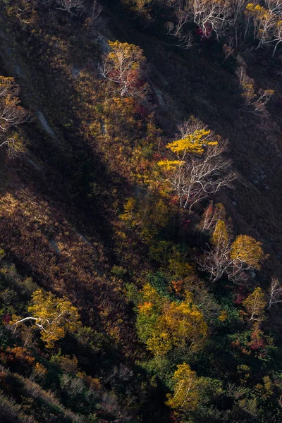 Paisaje Otoño Caída Del Valle Hakuba Nagano Chubu Japón — Foto de Stock