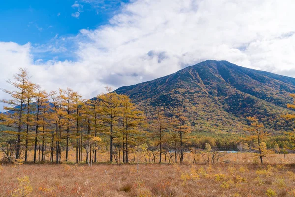 Otoño Otoño Paisaje Meseta Senjogahara Campo Bosque Montaña Nikko Tochigi —  Fotos de Stock
