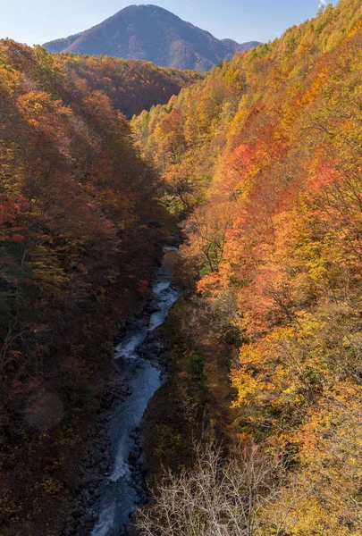 Nakatsugawa Gorge Fukushima Bridge Sonbaharda Sonbahar Japonya — Stok fotoğraf