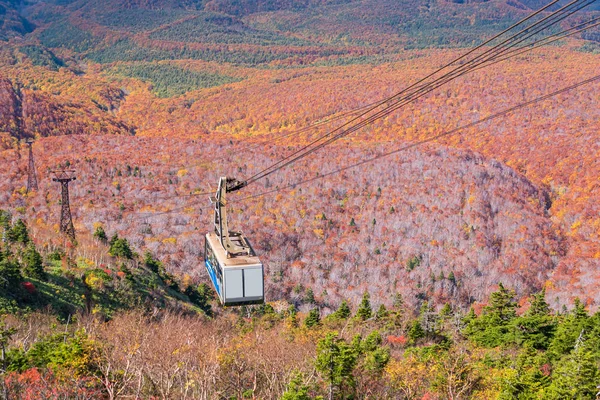 Висоти Червоного Листя Осінь Осінній Сезон Лісового Wodland Від Гори — стокове фото