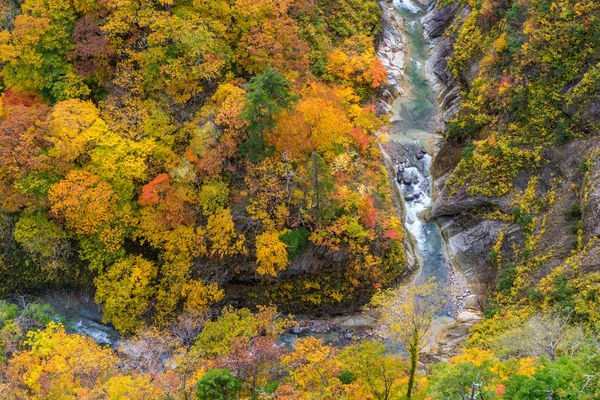 Краєвид Осені Осінь Пейзаж Лісу Лісів Річкою Над Якура Мосту — стокове фото
